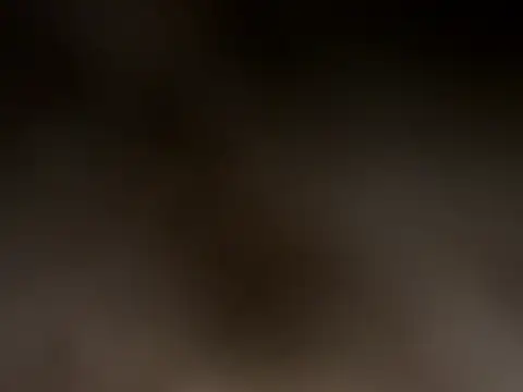 Antnjon – Kamerová šou