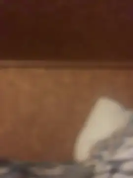 Chat +18 de Ldnick69 ao vivo