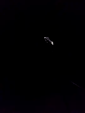 will1980 Show in webcam