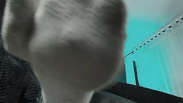 Chat XXX en directo de _Jade_16