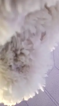 Valentinhaa – Naživo XXX chat