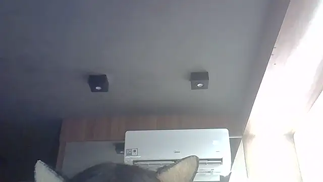 SkinnyKitten: απευθείας συνομιλία ΧΧΧ