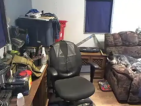 دردشة CloudDadddyyy420 الجنسية المباشرة