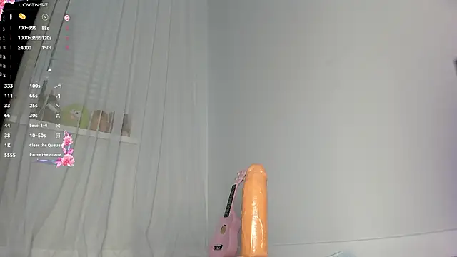 Show webcam de aiyumiprivate