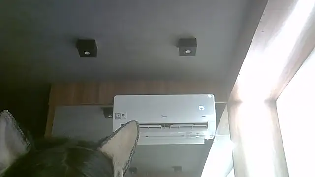 Онлайн чат XXX SkinnyKitten