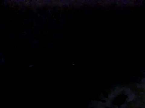 FayInessaKiss 라이브 XXX 채팅