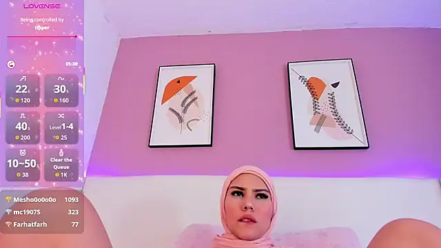 Pertunjukan Kamera Web _Saandy