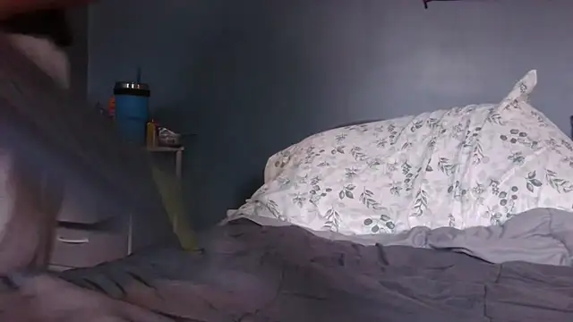 hpluvsplata 网络视讯表演