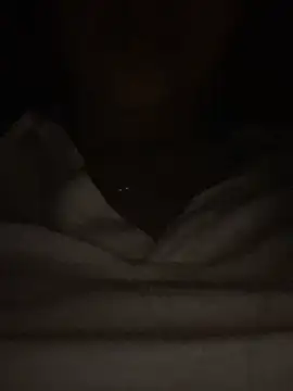 Hoa-tuylip webcam show