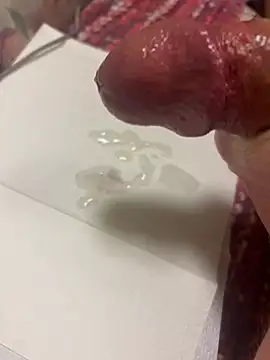 Majestik1 Pertunjukan Webcam