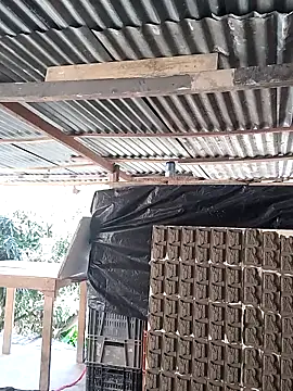 Show webcam de hoteder