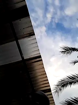 دردشة Barbieee1301 الجنسية المباشرة