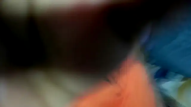 عرض كام wilmaassylum