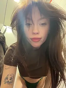 CityLynxn Webbikameraesitys