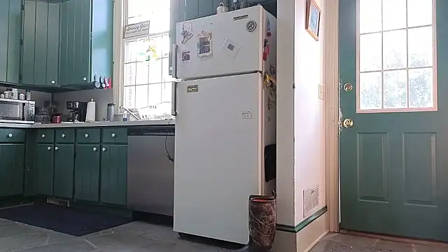 Show Webcam de CDforU