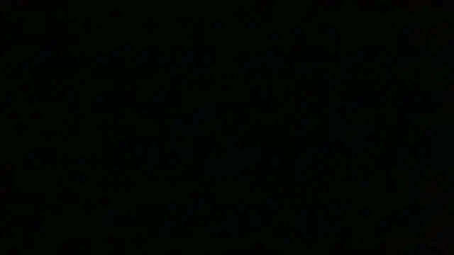 Chichoplus1のウェブカメラショー