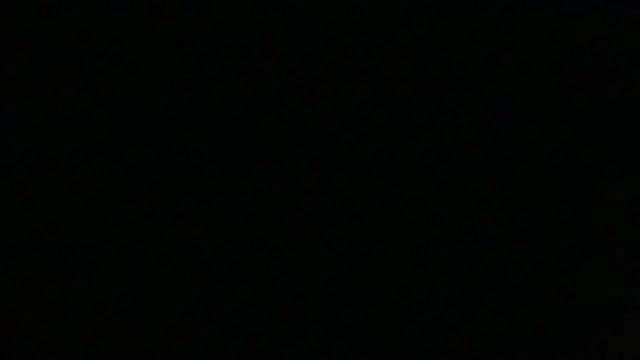 chichoplusのウェブカメラショー