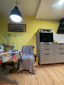 smint06 网络视讯表演