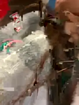 Amani_thewolf Chat XXX live