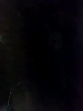 22orlando's Live XXX Chat