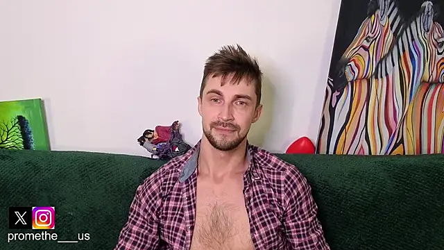 Show Webcam de Promethe_us