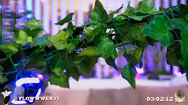 FlowweerGirl 라이브 XXX 채팅