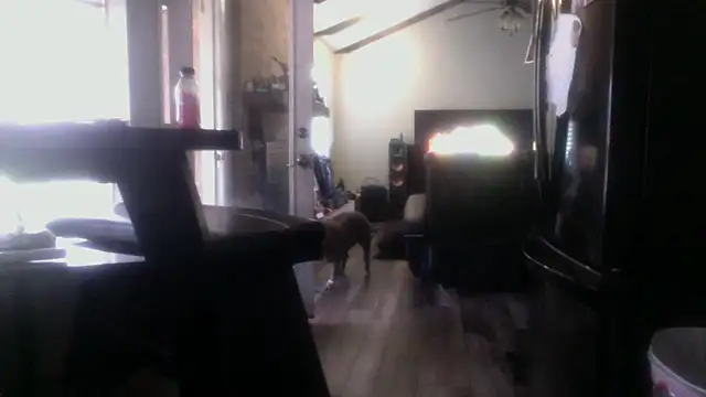 bella8769's Live XXX Chat