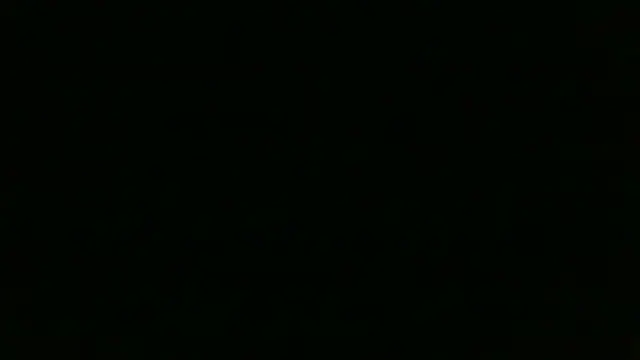 Chichoplus1 Webcam-Show