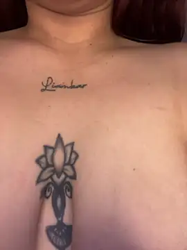 Rous-14n Webbikameraesitys