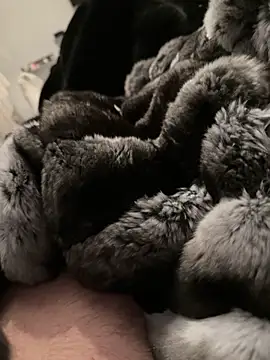 Sembang XXX Secara Langsung Furdale