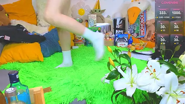 Show Webcam de LandelRay