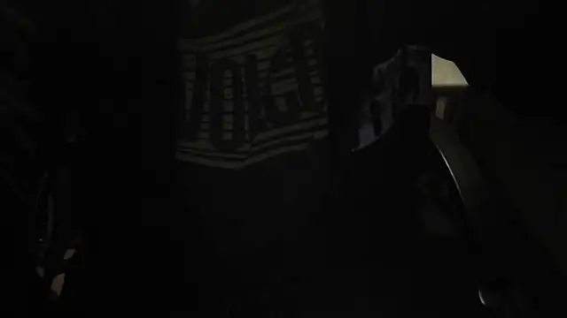 Show modela arka6 na web-kameri