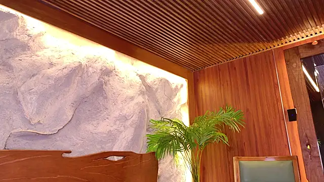 Kinsleybrown Chat XXX live