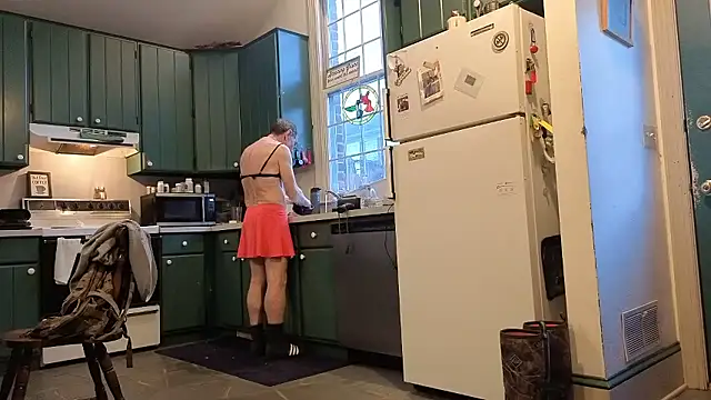 CDforU Show in webcam