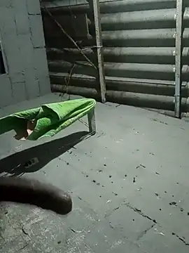 radx0のウェブカメラショー