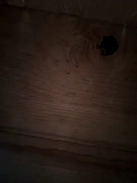 Živý XXX chat themorenofit08