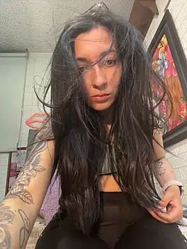 Show Webcam de SALOME_KORLAND