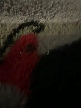 anonimgirl18old – webcam-show