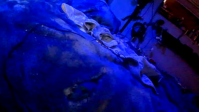 PornStro921: απευθείας συνομιλία ΧΧΧ