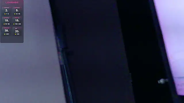 Webkamerová show kiaratentation