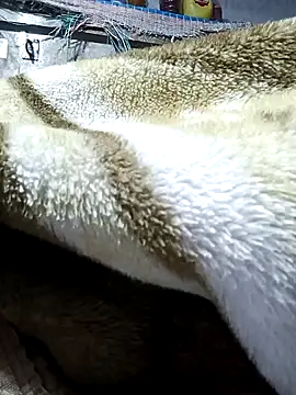 Hot_bhabhi300 Webcam show