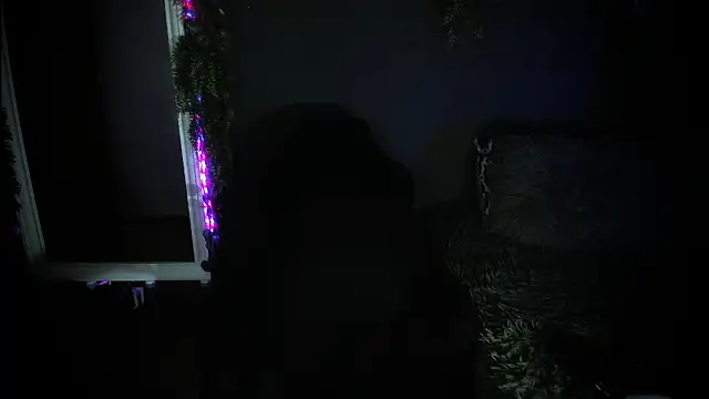 Chat +18 de newjeff ao vivo