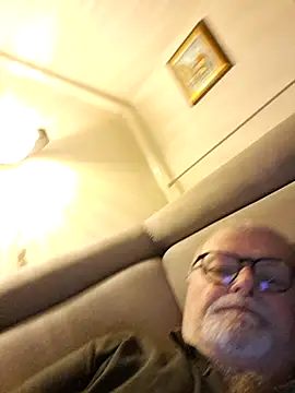 petvarad 라이브 XXX 채팅