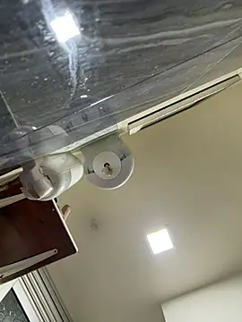 roousen Webbikameraesitys