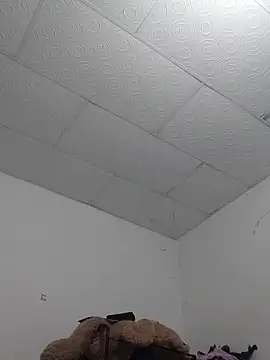 Sembang XXX Secara Langsung girl_tits