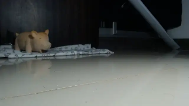 yourmajesty live XXX chat