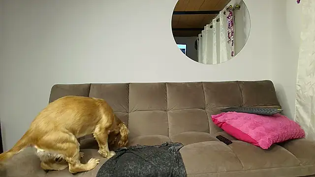 دردشة Karolgood3 الجنسية المباشرة