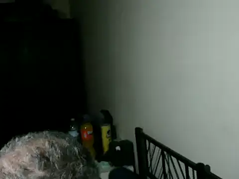 100Tauros – Kamerová šou