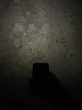 Вебкам-шоу stallone_italiano_62