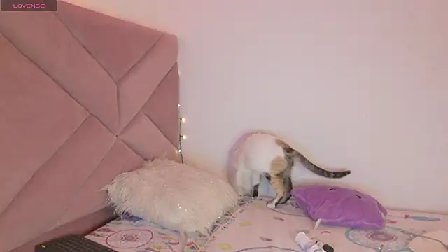 eva_sin18 Live XXX-Chat